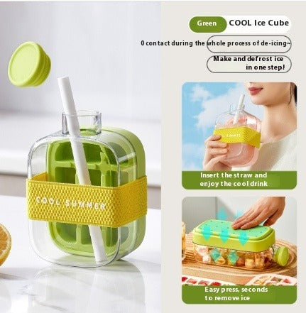 2-IN-1 Ice Cube Bottle & Fruit Infuser