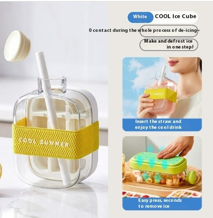 2-IN-1 Ice Cube Bottle & Fruit Infuser