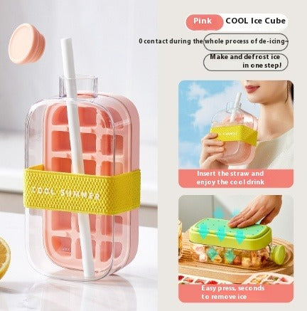 2-IN-1 Ice Cube Bottle & Fruit Infuser