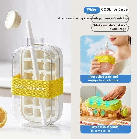 2-IN-1 Ice Cube Bottle & Fruit Infuser