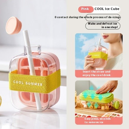 2-IN-1 Ice Cube Bottle & Fruit Infuser