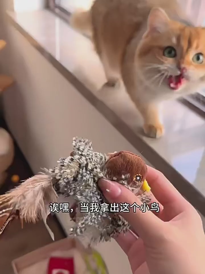 Flapping Bird Cat  Toy